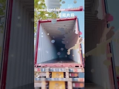 Multicolor Anak Tarik Sepanjang koper 30L Dengan Genggam Teleskop